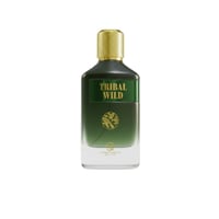 perfume men perfume collection