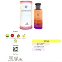 Montage Perfume perfume collection